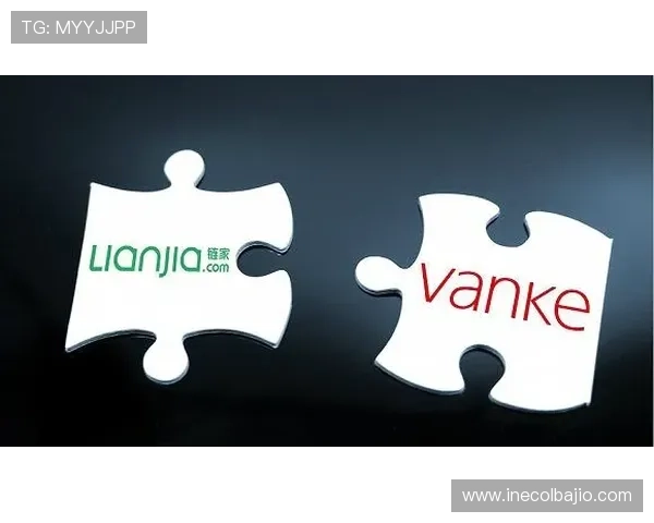 918博天堂首页用户体验优化升级，带来更加流畅的游戏体验