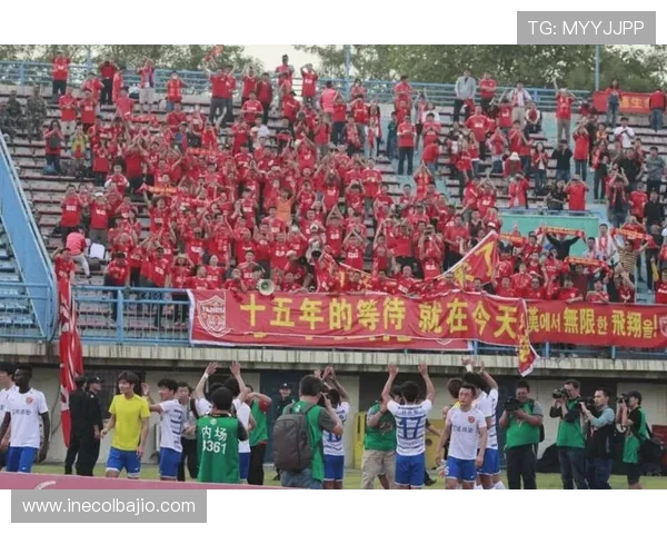 体育博览：深入报道各大体育赛事背后的精彩故事与明星风采