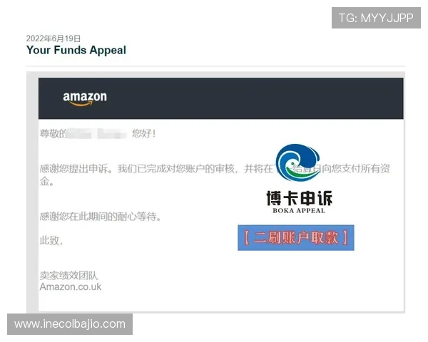 博卡系统登录成功后如何进行账户信息管理与安全保护