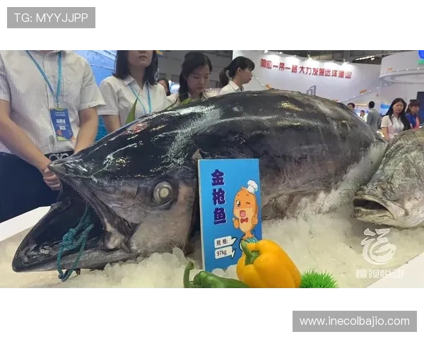 博鱼买球多样化的投注方式，满足不同玩家的个性化需求