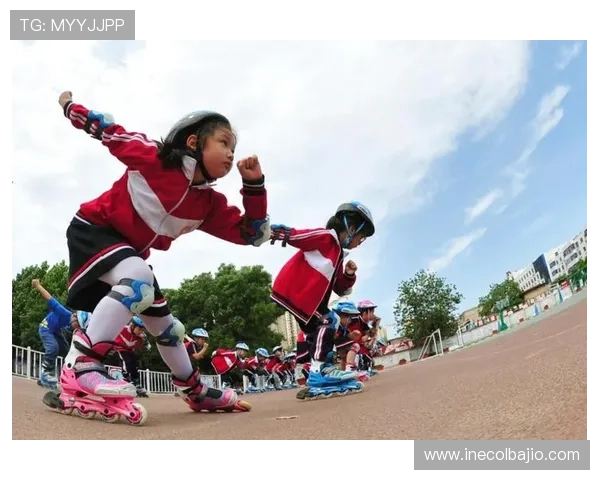 完美体育官方网站:多样化体育项目介绍与专业赛事分析