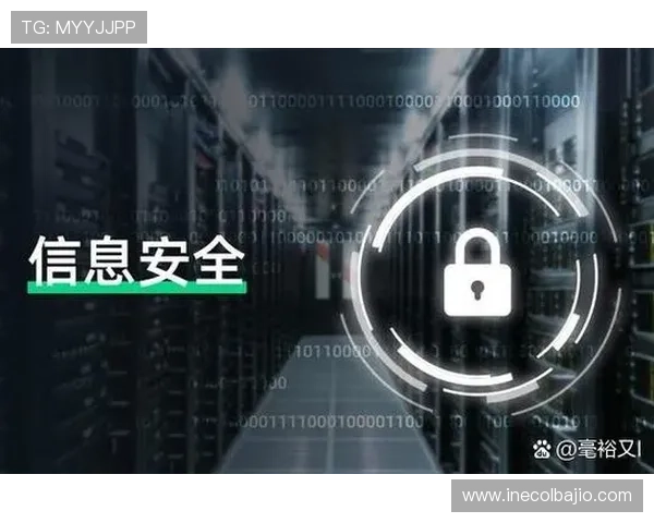 天堂官网登录入口安全可靠保障玩家账号信息安全的最佳登录入口推荐